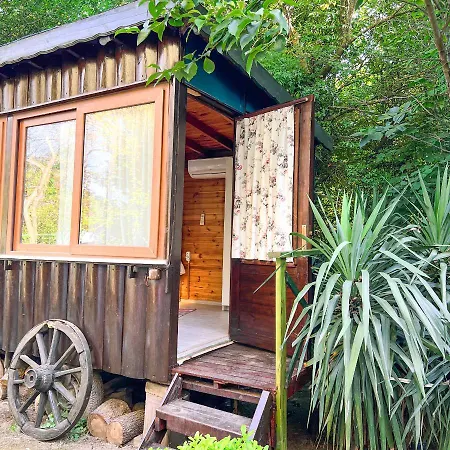 Hotel Tartaruga Boutique & Ağva