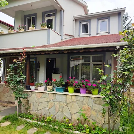 Tartaruga Boutique &