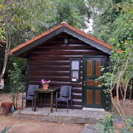 Tartaruga Boutique & Ağva