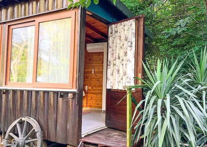 מלון Tartaruga Boutique & Ağva