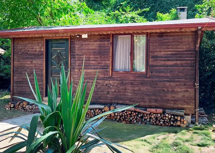 Tartaruga Boutique &