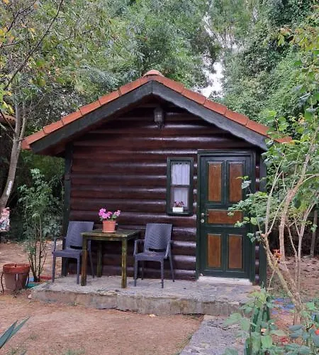 Tartaruga Boutique & Ağva