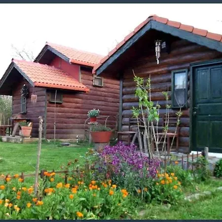 Tartaruga Boutique & 3* Sile
