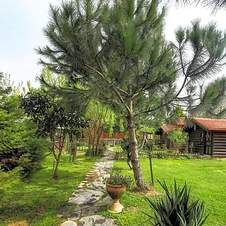 Hotel Tartaruga Boutique & Sile