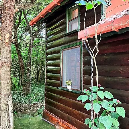 Tartaruga Boutique & Hotel 3*