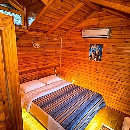 Hotel Tartaruga Boutique & 3*