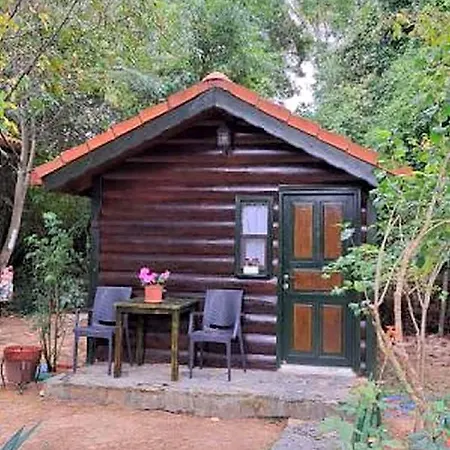 Hotel Tartaruga Boutique & 3*