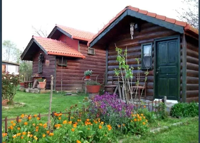 Tartaruga Boutique & 3* أجفا