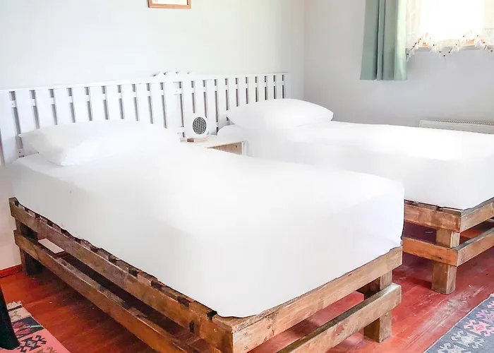 Tartaruga Boutique & أجفا